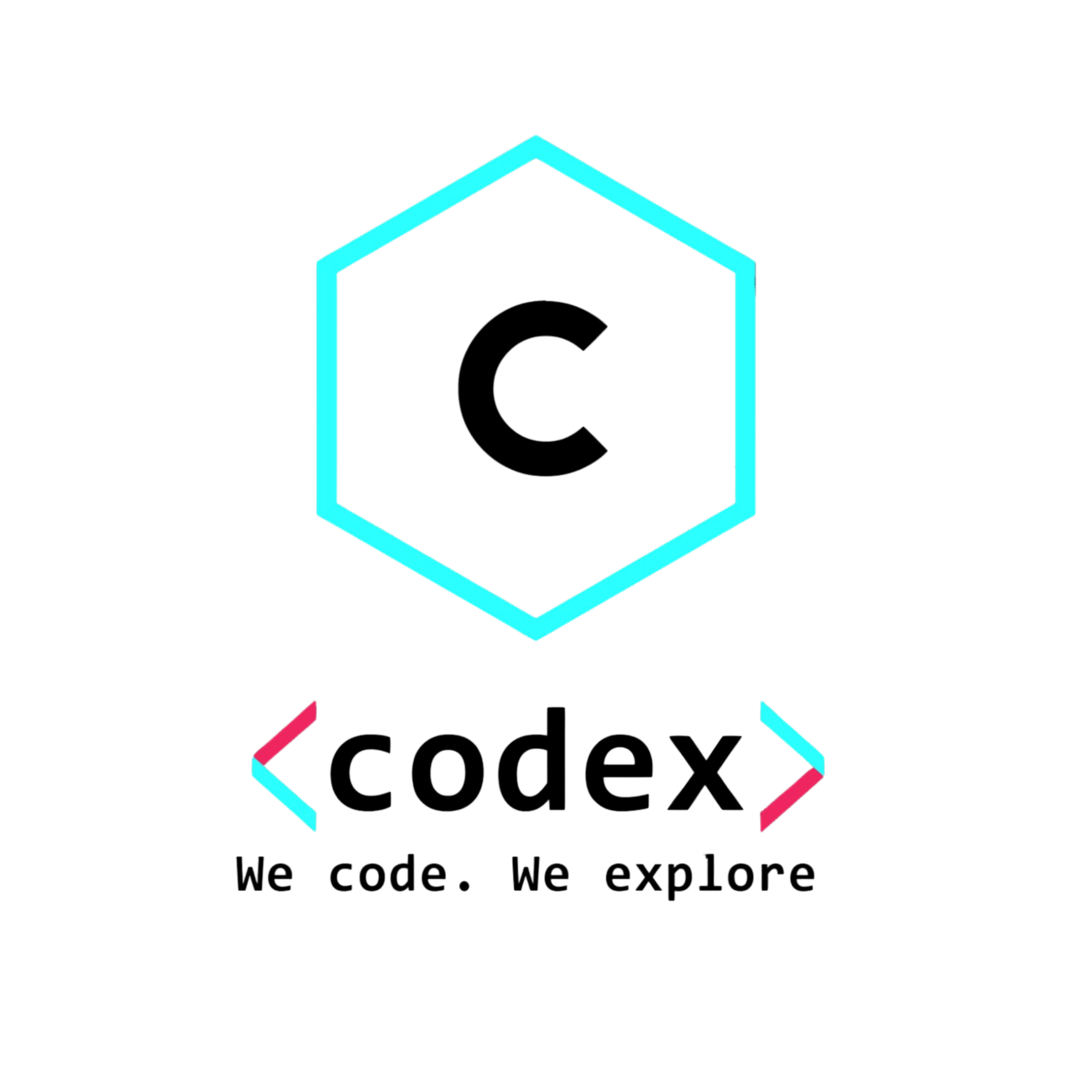 CODEX ITER | A DECADE OF TECHNICAL CULTURE